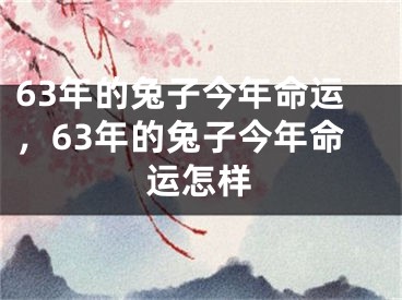 63年的兔子今年命运，63年的兔子今年命运怎样