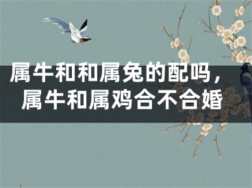 属牛和和属兔的配吗，属牛和属鸡合不合婚