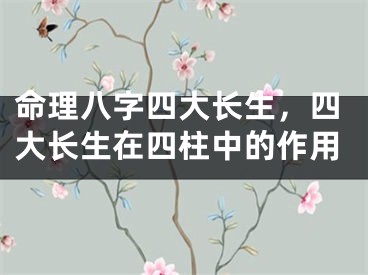 命理八字四大长生，四大长生在四柱中的作用