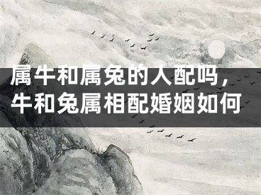 属牛和属兔的人配吗，牛和兔属相配婚姻如何