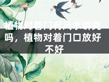植物对着门有风水讲究吗，植物对着门口放好不好