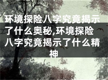 环境探险八字究竟揭示了什么奥秘,环境探险八字究竟揭示了什么精神