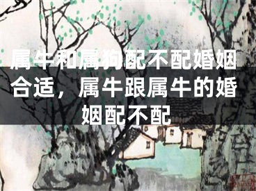 属牛和属狗配不配婚姻合适，属牛跟属牛的婚姻配不配