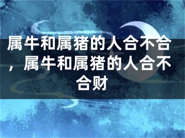 属牛和属猪的人合不合，属牛和属猪的人合不合财
