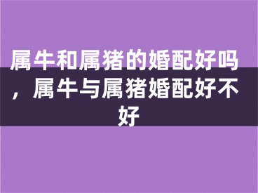 属牛和属猪的婚配好吗，属牛与属猪婚配好不好