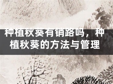 种植秋葵有销路吗，种植秋葵的方法与管理