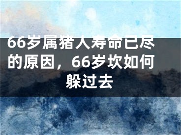 66岁属猪人寿命已尽的原因，66岁坎如何躲过去