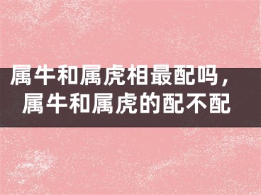属牛和属虎相最配吗，属牛和属虎的配不配