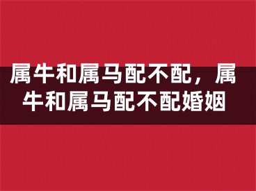 属牛和属马配不配，属牛和属马配不配婚姻