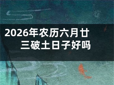 2026年农历六月廿三破土日子好吗