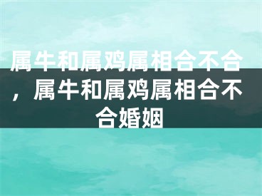 属牛和属鸡属相合不合，属牛和属鸡属相合不合婚姻