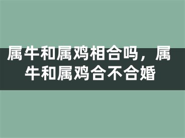 属牛和属鸡相合吗，属牛和属鸡合不合婚