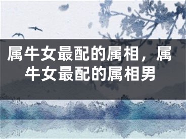 属牛女最配的属相，属牛女最配的属相男