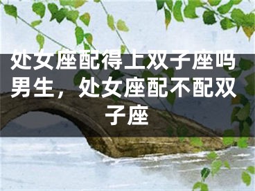 处女座配得上双子座吗男生，处女座配不配双子座