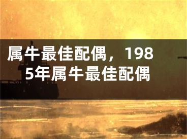 属牛最佳配偶，1985年属牛最佳配偶