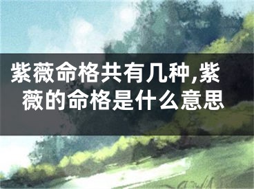紫薇命格共有几种,紫薇的命格是什么意思