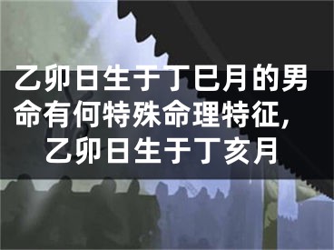 乙卯日生于丁巳月的男命有何特殊命理特征,乙卯日生于丁亥月