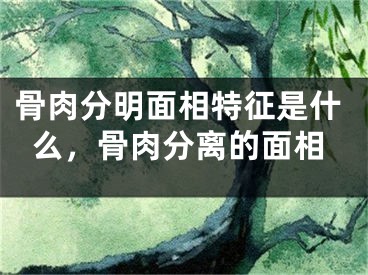 骨肉分明面相特征是什么，骨肉分离的面相