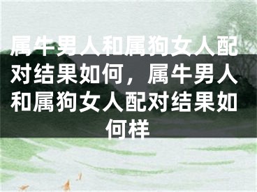 属牛男人和属狗女人配对结果如何，属牛男人和属狗女人配对结果如何样
