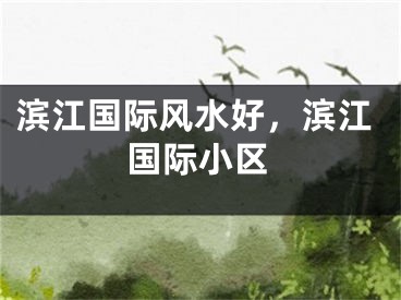 滨江国际风水好，滨江国际小区