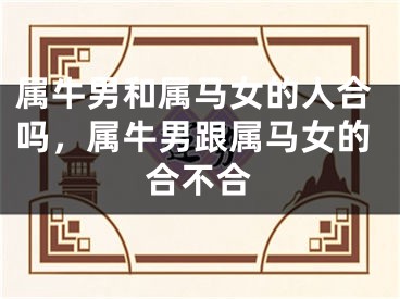 属牛男和属马女的人合吗，属牛男跟属马女的合不合