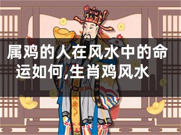属鸡的人在风水中的命运如何,生肖鸡风水