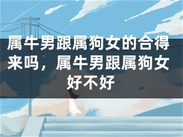 属牛男跟属狗女的合得来吗，属牛男跟属狗女好不好