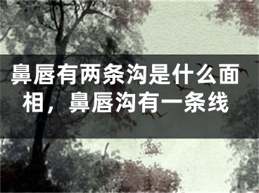 鼻唇有两条沟是什么面相，鼻唇沟有一条线