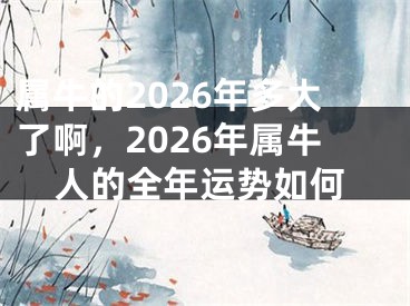 属牛的2026年多大了啊，2026年属牛人的全年运势如何