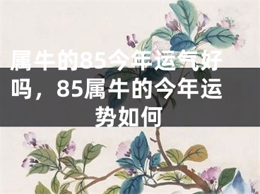 属牛的85今年运气好吗，85属牛的今年运势如何