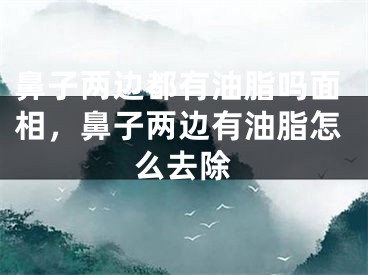 鼻子两边都有油脂吗面相，鼻子两边有油脂怎么去除