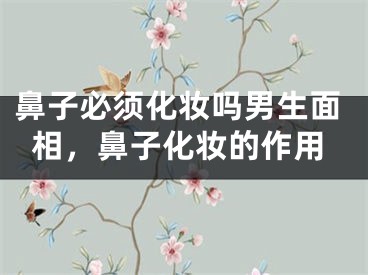 鼻子必须化妆吗男生面相，鼻子化妆的作用