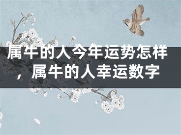 属牛的人今年运势怎样，属牛的人幸运数字