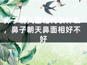 鼻子朝天面相代表什么，鼻子朝天鼻面相好不好