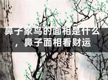 鼻子象鸟的面相是什么，鼻子面相看财运
