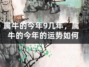 属牛的今年9几年，属牛的今年的运势如何