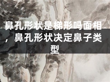 鼻孔形状是梯形吗面相，鼻孔形状决定鼻子类型