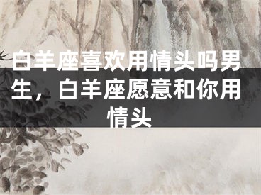 白羊座喜欢用情头吗男生，白羊座愿意和你用情头