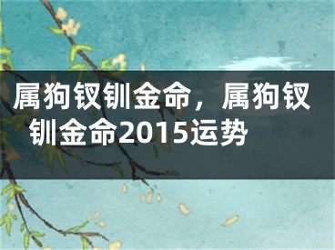 属狗钗钏金命，属狗钗钏金命2015运势