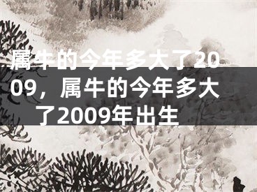 属牛的今年多大了2009，属牛的今年多大了2009年出生