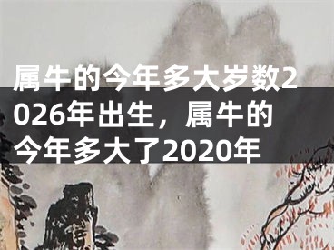 属牛的今年多大岁数2026年出生,属牛的今年多大了2020年
