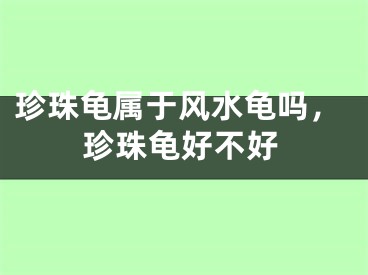 珍珠龟属于风水龟吗，珍珠龟好不好