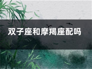 双子座和摩羯座配吗