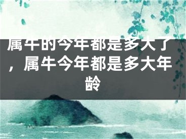 属牛的今年都是多大了，属牛今年都是多大年龄
