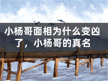 小杨哥面相为什么变凶了，小杨哥的真名