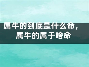 属牛的到底是什么命，属牛的属于啥命