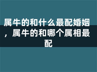 属牛的和什么最配婚姻，属牛的和哪个属相最配