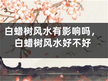 白蜡树风水有影响吗，白蜡树风水好不好