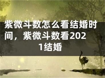 紫微斗数怎么看结婚时间，紫微斗数看2021结婚
