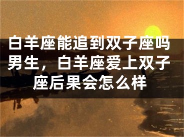 白羊座能追到双子座吗男生，白羊座爱上双子座后果会怎么样